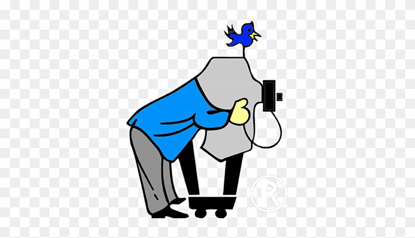 Dynamic Images - Photography #1056488