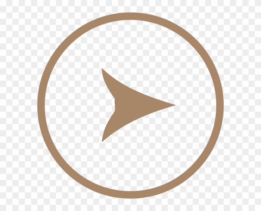 Ann Arbor Wedding Photographer And Senior Portrait - Volkswagen #1056510