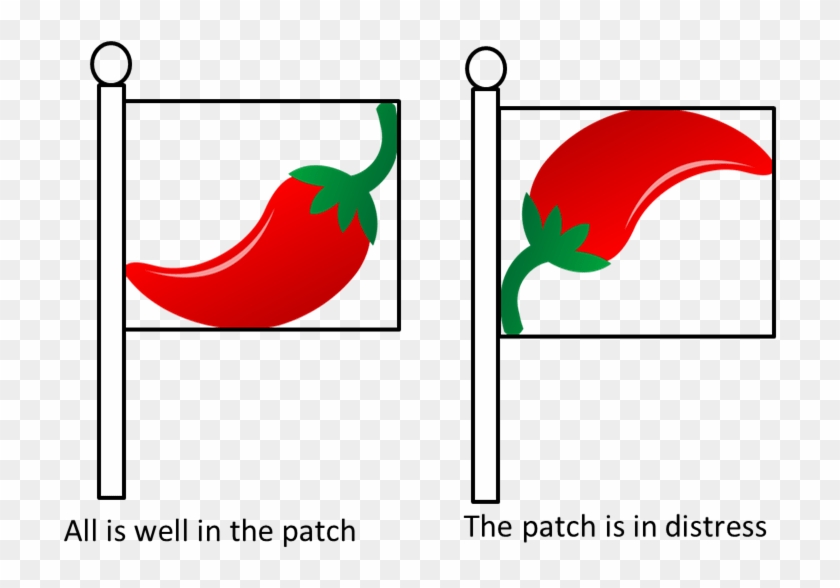 Rick's Pepper Patch Flag - Rick's Pepper Patch Flag #1056608