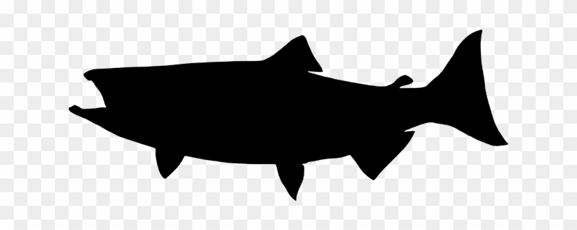 Salmon Silhouette Png #1056794