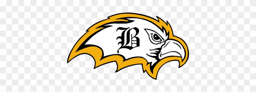 Falcons Athletics - Brownsville Area High School #1056903