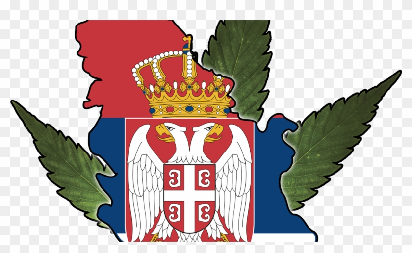 Michigan Medical Marijuana Report - Flags Like Slovakia #1056969