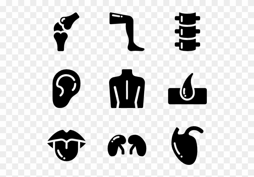 Human Body Solid - Body Parts Icons Png #1057102
