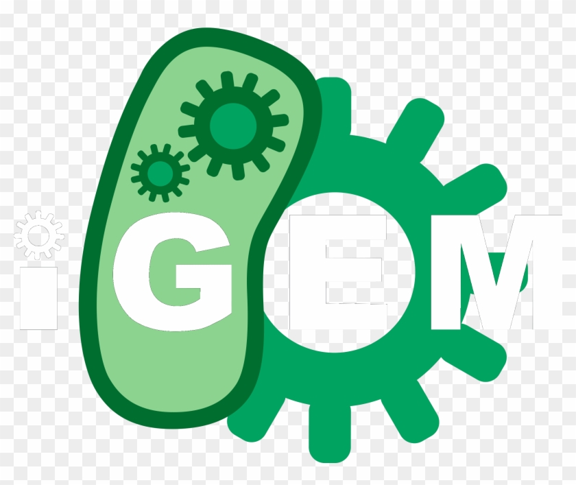 The Aim For The Igem Interlab Study Was To Test The - International Genetically Engineered Machine #1057187