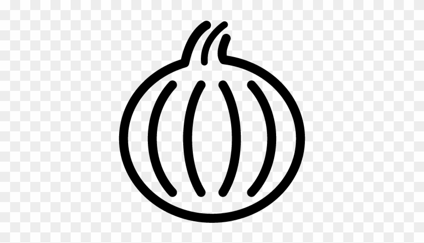 Big Onion Vector - Croatia #1057213