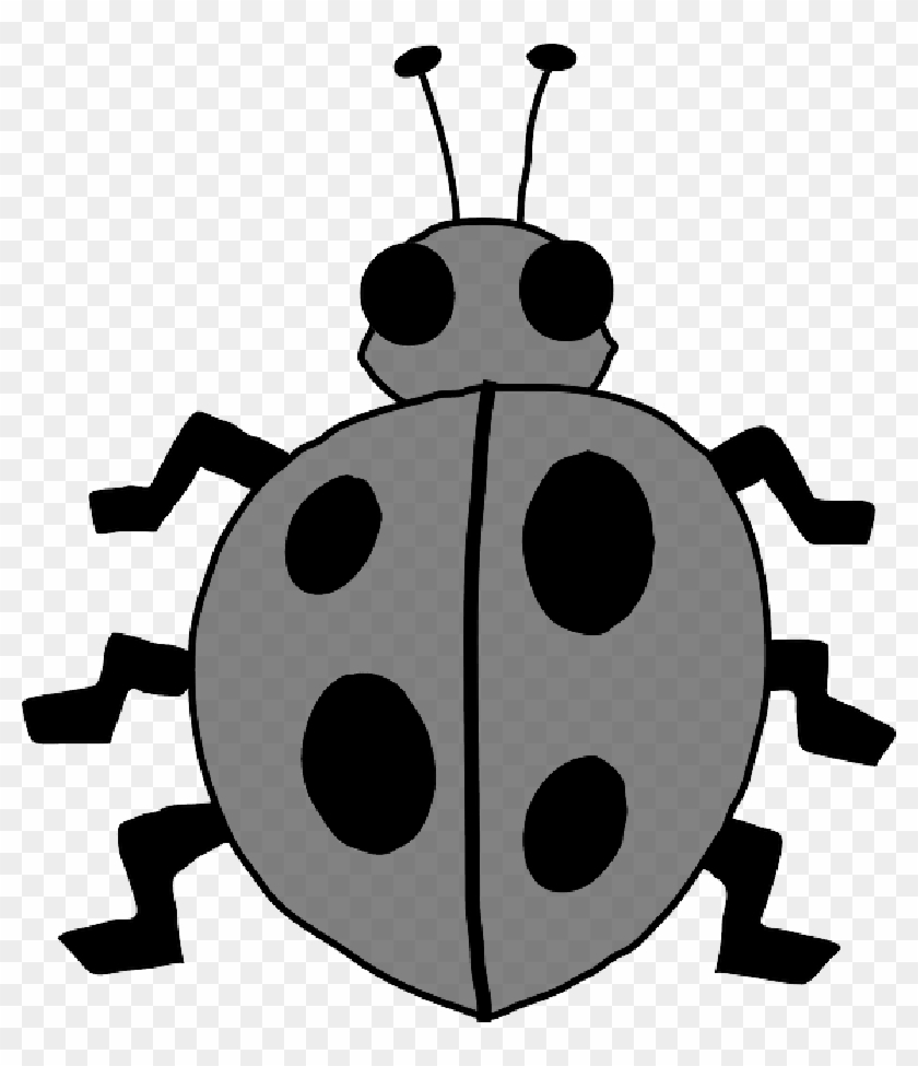 Ladybug, Animal, Bug, Cute, Insect, Beetle, Ladybird - Bug Clip Art #1057298