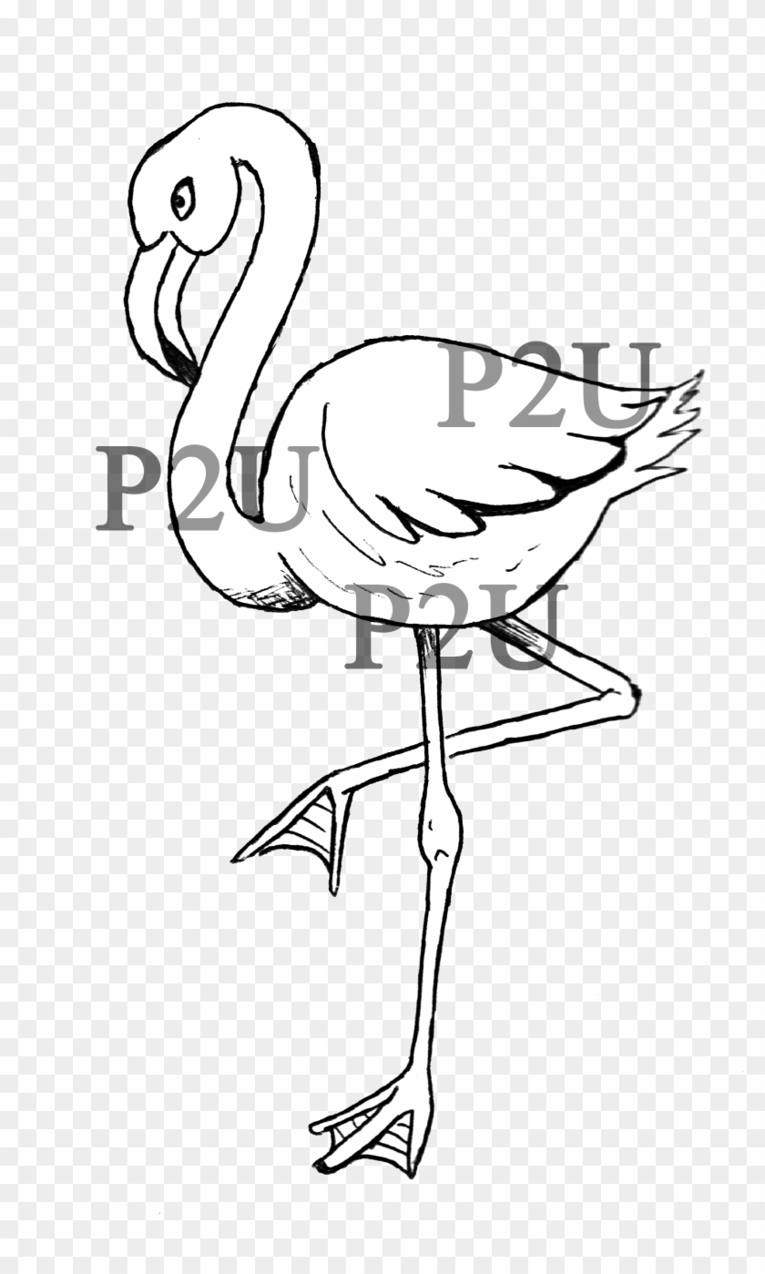 Line Art Drawing Cartoon Flamingo Clip Art - Flamingo Style Drawing #1057383