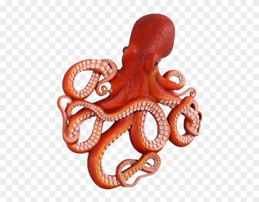 Octopus Png Clipart - Octopus #1057783