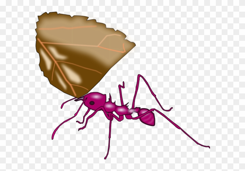 Ant Carrying A Leaf Vector Clip Art - New Jersey Institute Of Technology #1057803