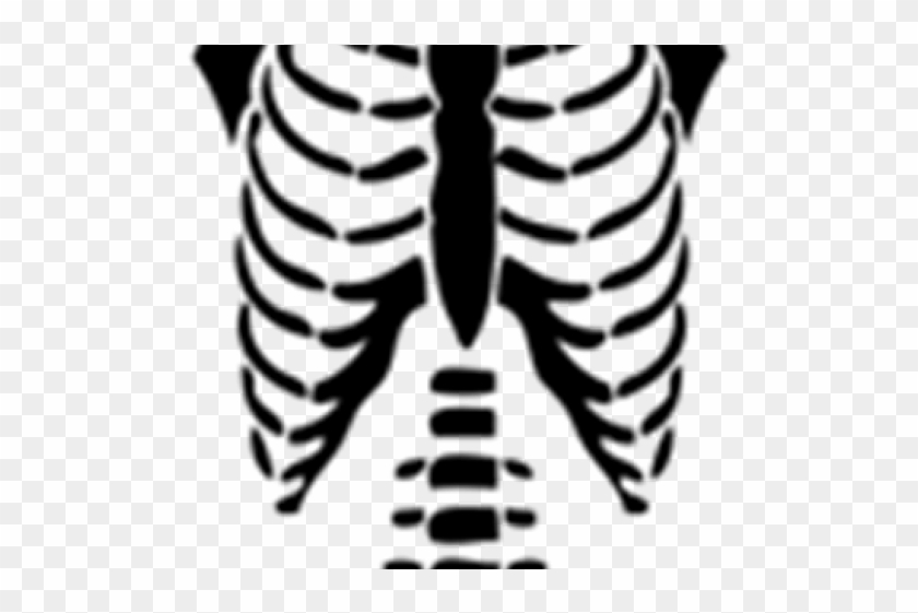 Skeleton Clipart Torso T Shirts For Roblox Free Transparent Png Clipart Images Download - nike jacket download roblox roblox