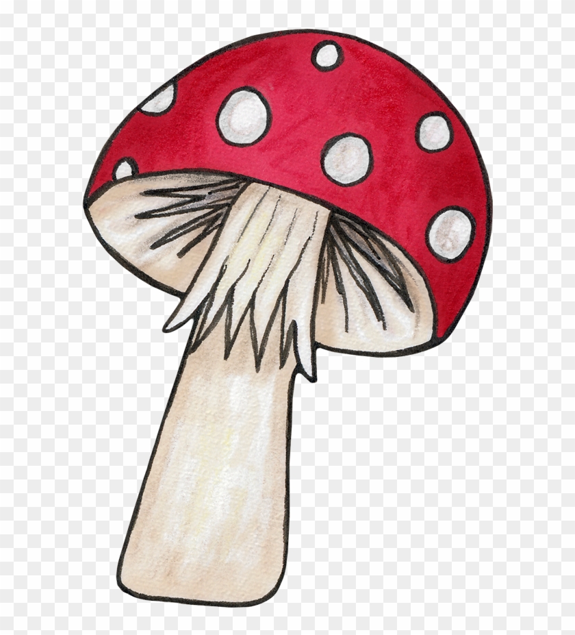 Mushroom For An Echanted Woodlands Party - Paddenstoel Prent #1058361