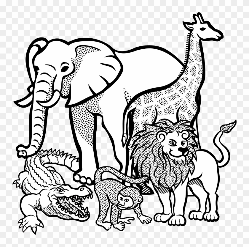 Medium Image - Wild Animal Line Art #1058768