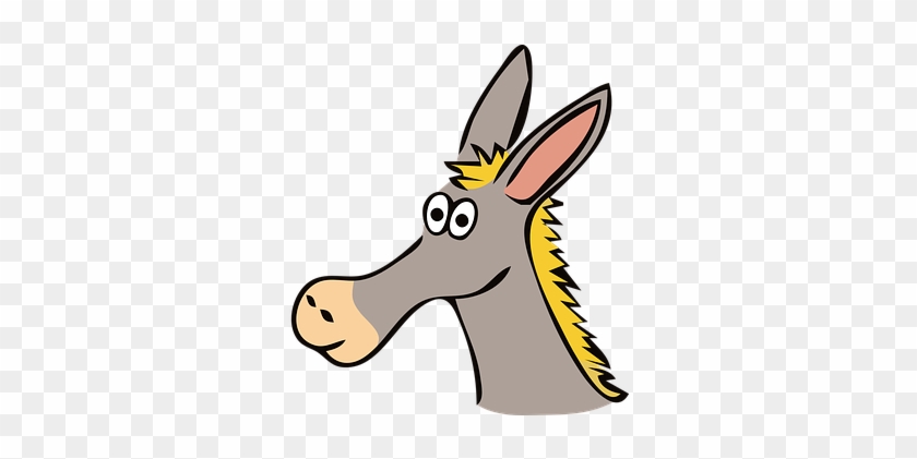 Donkey Animal Mammal Funny Surprised Donke - Donkey Head Clipart #1058837