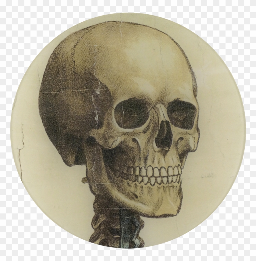 Skull Facing Right #1058938