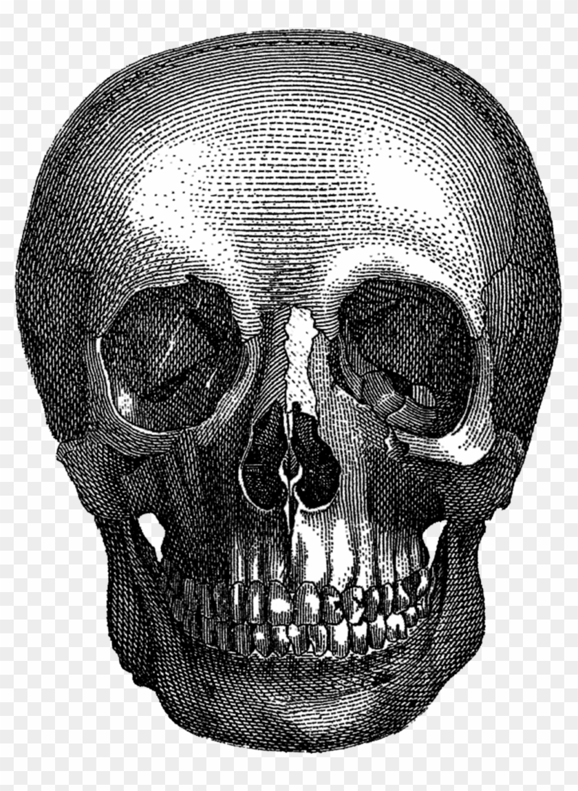 Gothic Art Aesthetics Wanelo Skull - Marmont Hill To Die For By Vicky Butler Painting Print #1058965