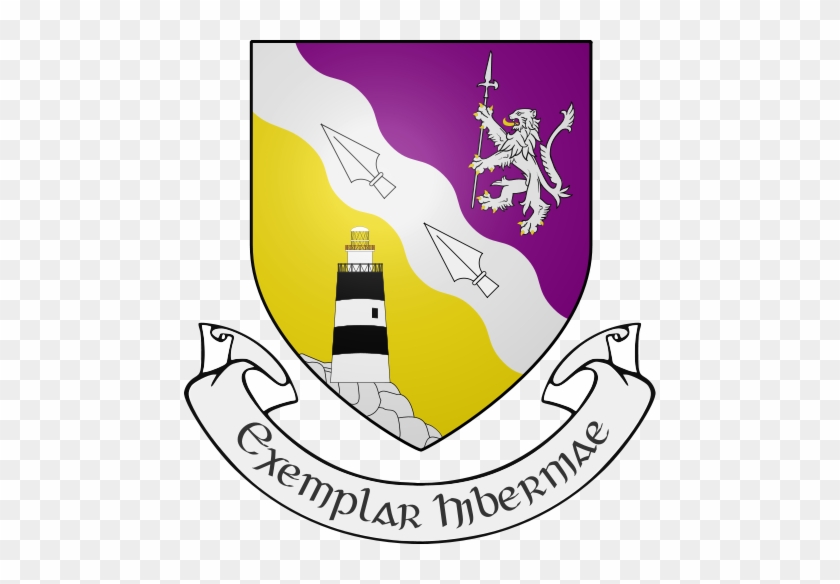 The Hook Lighthouse Appears On The Coat Of Arms Of - Wexford Flag #1059041