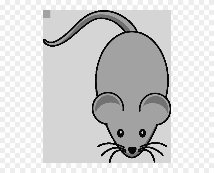 Mouse Clipart Transparent Computer Mouse Clipart Images - Cartoon Mouse Shower Curtain #1059115