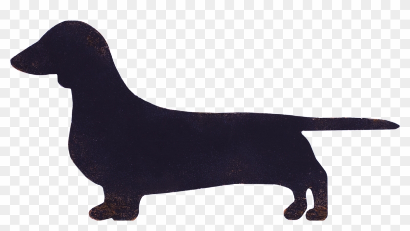 Miniature Dachshund Flat-coated Retriever Dog Breed - Dachshund #1059246