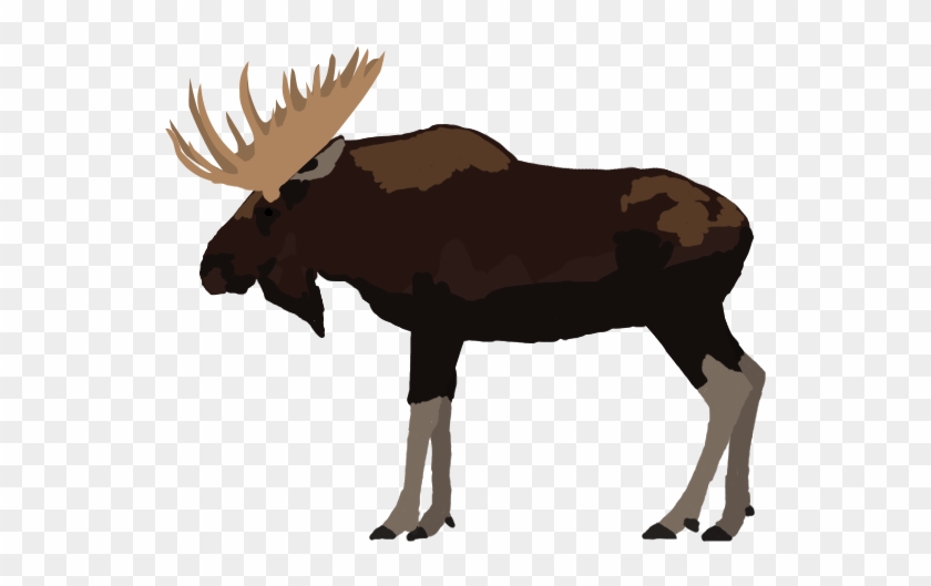 Moose Alaskan By Paleop On Deviantart Rh Paleop Deviantart - Alaskan Animals Png #1059305