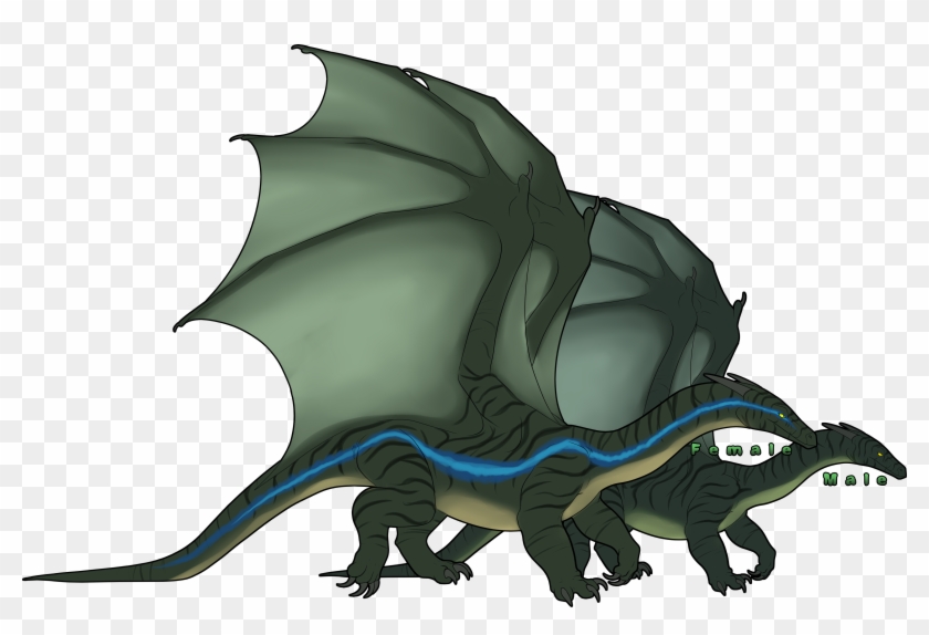 Rizkul Are Considered The Most Stealthy And Aggressive - Dragon #1059735