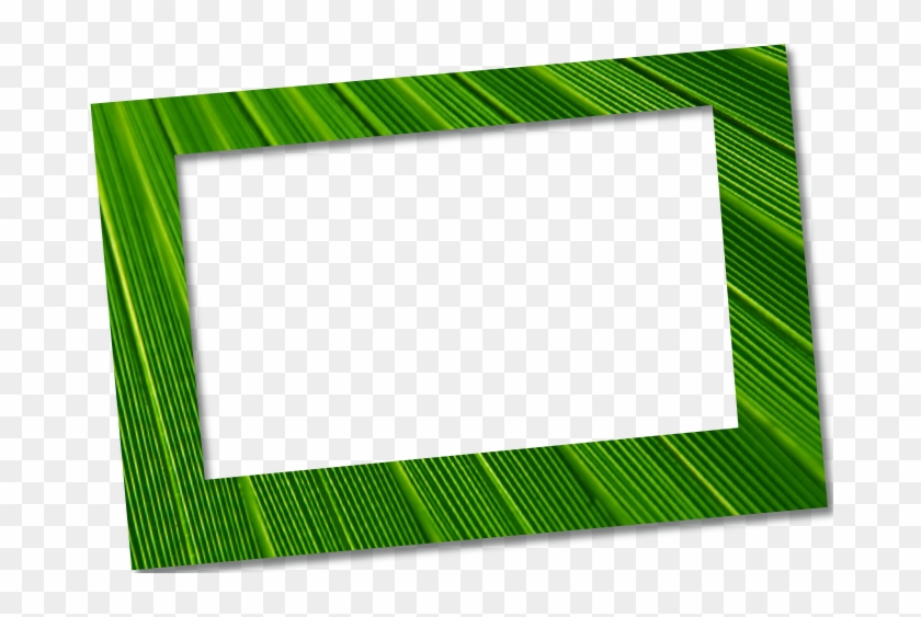 Picture Frame #1059742