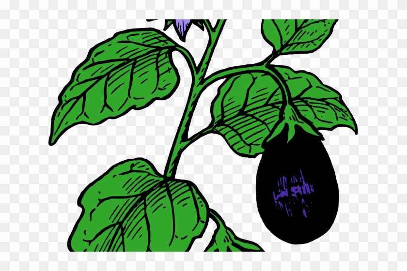 Eggplant Clipart Garden - Eggplant Clip Art #1060020