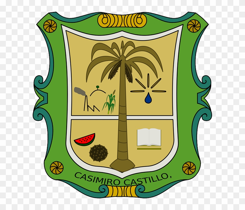 Open, Plants, Palm, Tree, Shield, Book, Escudo - Casimiro Castillo #1060084