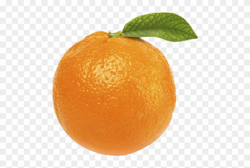 Free Orange Fruit Png Orange With No Background Free Transparent Png Clipart Images Download