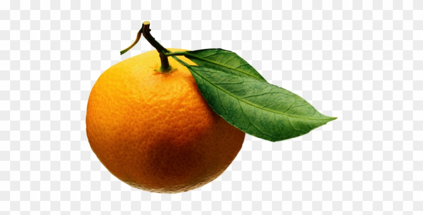 2015 Ucr Orange Blossom Ball - Orange Fruit Leaf Png #1060252