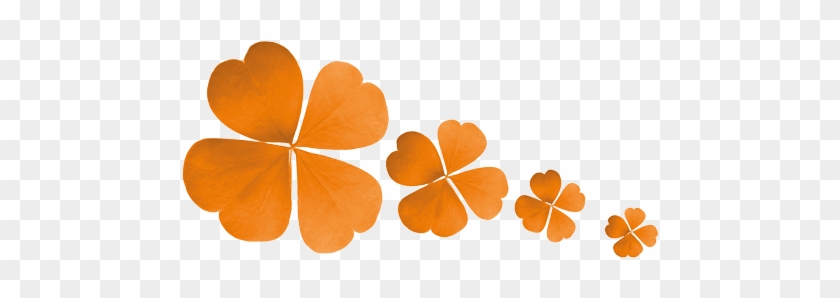 It Takes A Lot Of Effort, Preparation And Correct Timing - Orange Four Leaf Clover #1060260