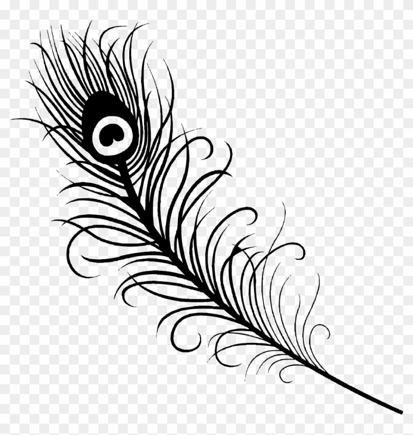 Peacock Feather Silhouette - Peacock Feather Black And White #1060450