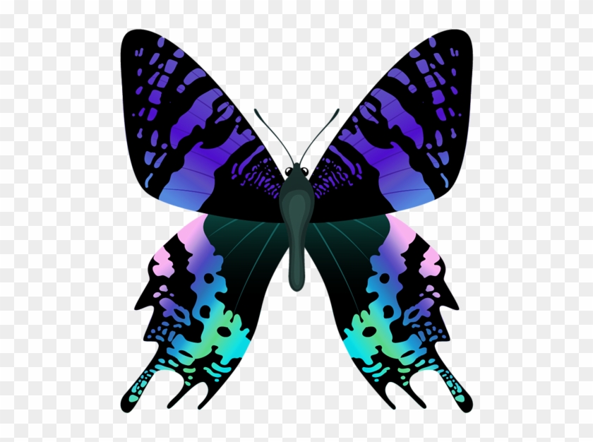 Jungle Clipart Butterfly - Papilio Machaon #1061038