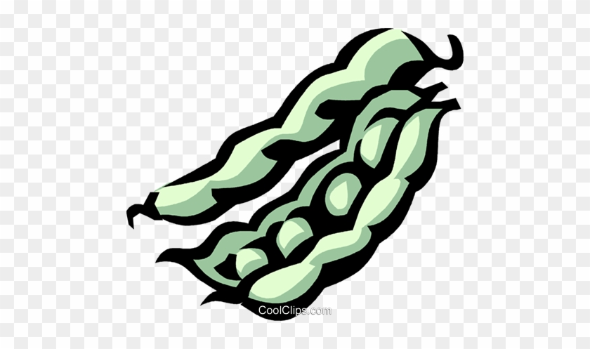 Fava Beans Royalty Free Vector Clip Art Illustration - Clip Art #1061046