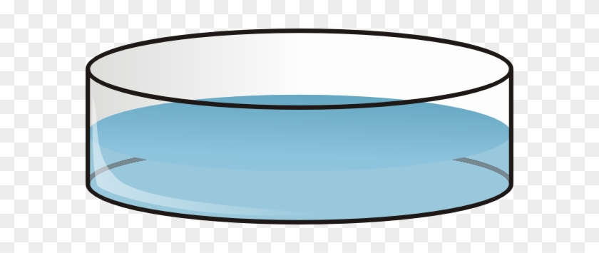 Petri Dish Clip Art Free Vector 4vector - Petri Dish Of Water #1061093
