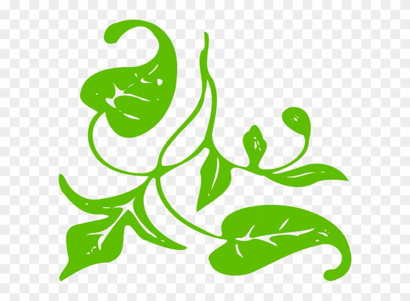 Green Leaf Single Png #1061094