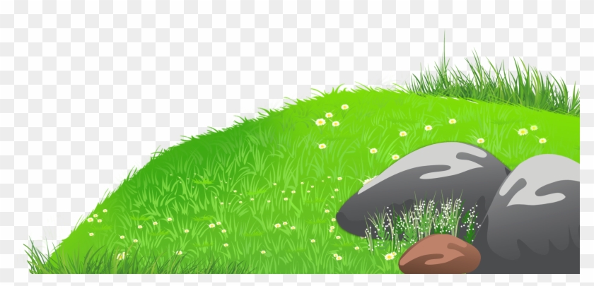 Grass With Stones And Daisies Png Clipart Picture - Grass Clipart #1061150