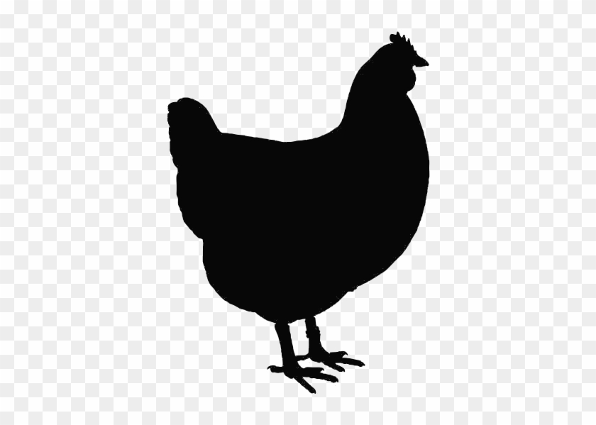 Chicken Clipart Black #1061191