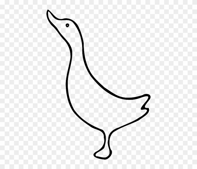 Quacking Fowl, Duck, Goose, Animal, Bird, Quacking - Bebek Vector #1061226