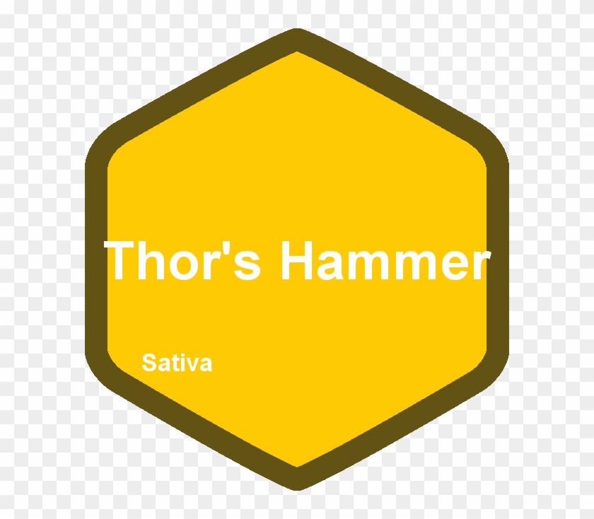 Thor's Hammer - Education #1061347