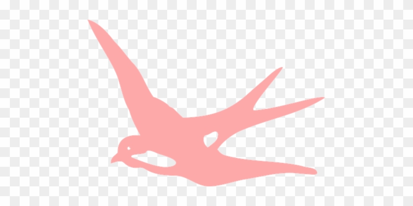 Swallow, Bird, Flying, Fly, Pink - Pink Birds Png #1061947