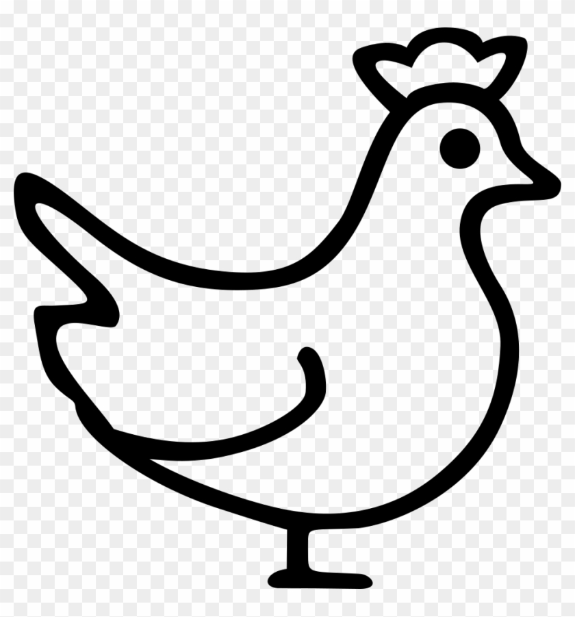 Chicken Comments - Chicken #1062721