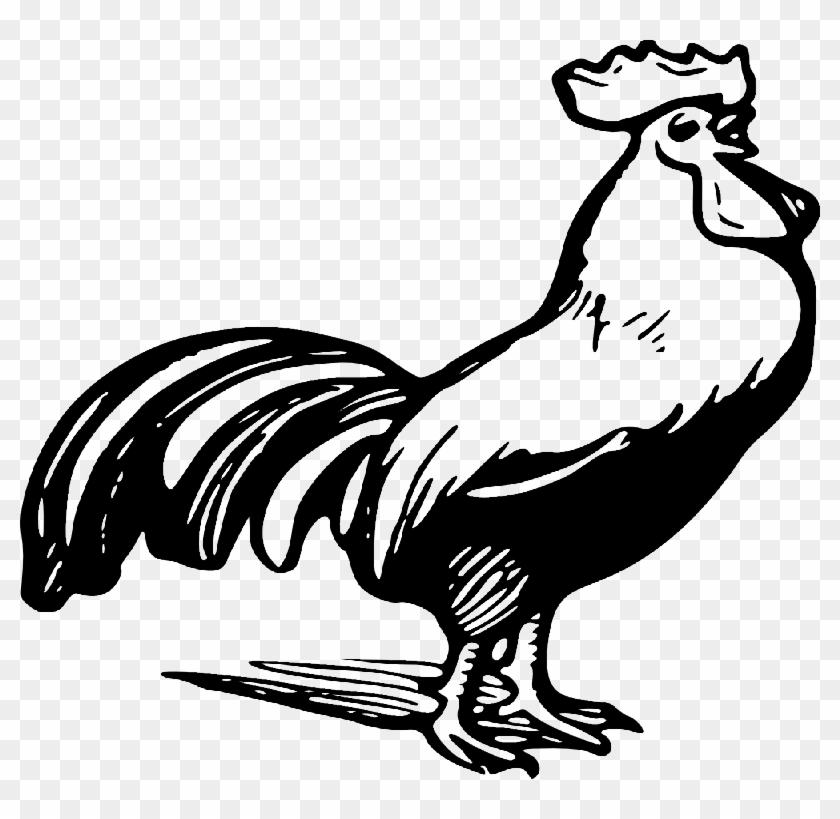 Rooster Clipart Black And White #1062723