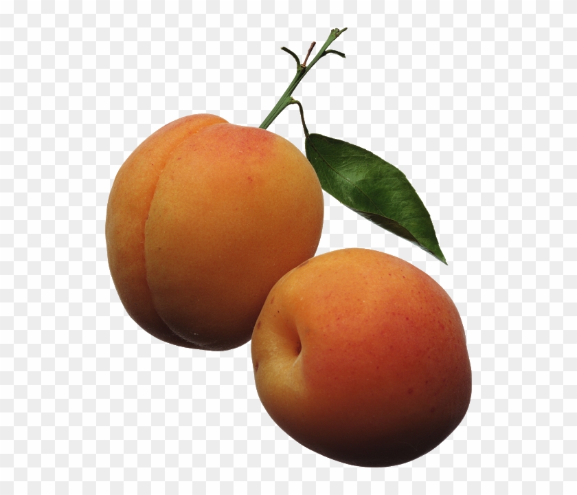 Free Png Peaches Png Images Transparent - Apricots Clipart #1062770