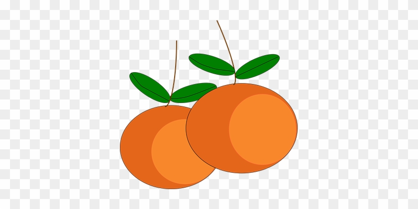 Oranges, Fruits, Citrus, Ripe, Juicy - Gambar Vektor Buah Buahan #1062778