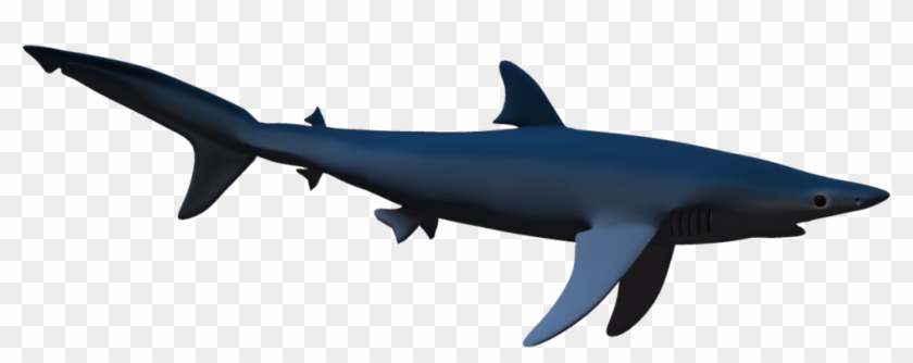 Shark Png - Shark Shadow Png #1062853