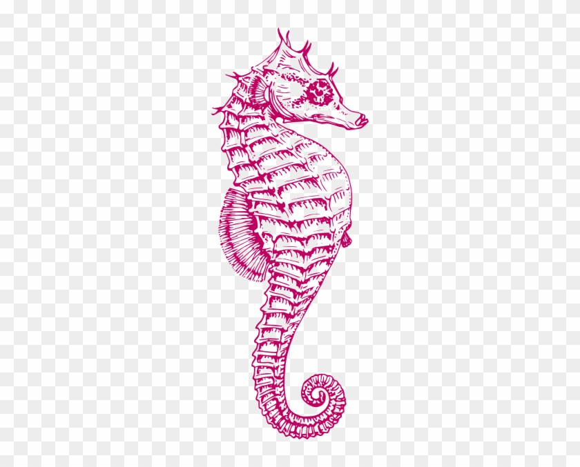 Raisin Seahorse Clip Art At Clker - Seahorse Png #1063076