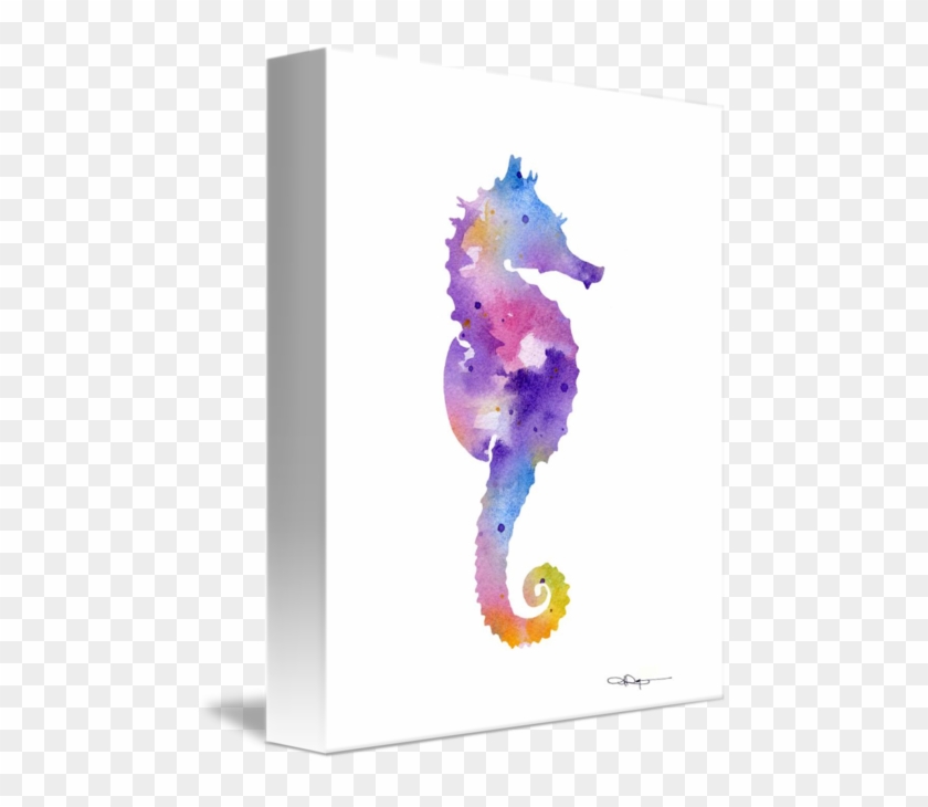 Share On Tumblr - Northern Seahorse #1063138