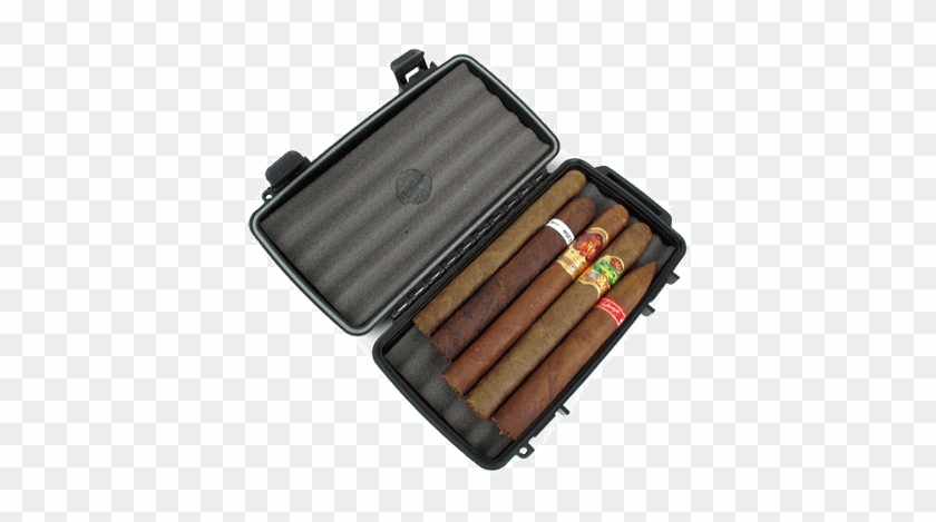 Dry Boxing Cigars - Hardwood #1063311