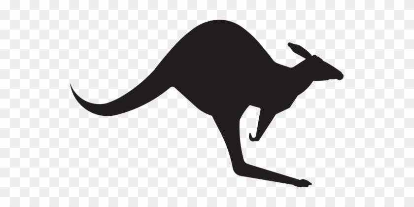 Kangaroo Animal Australia Jump Silhouette - Kangaroo Sign #1063380