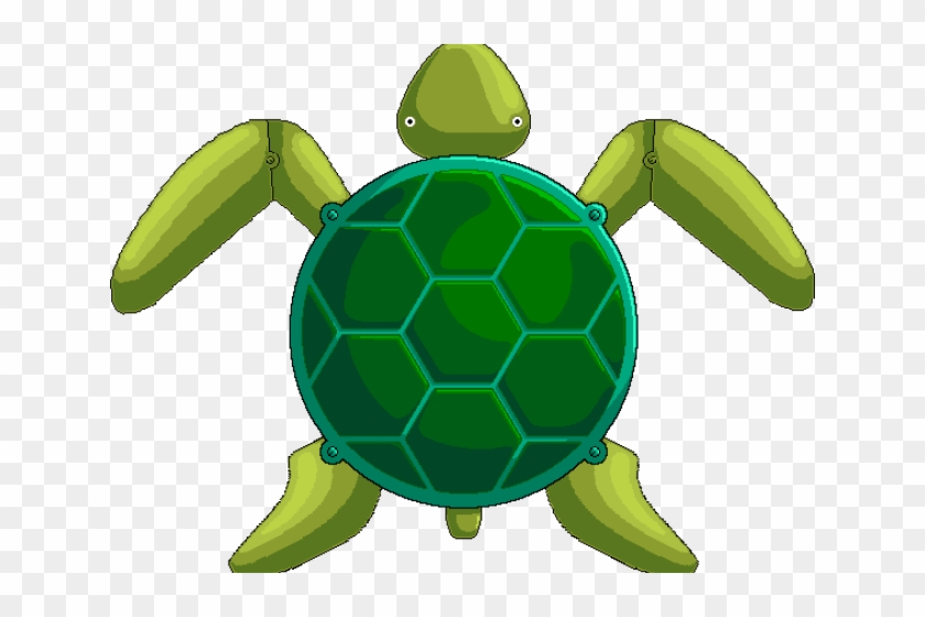 Sea Turtle Real - Turtle Body Png #1063487